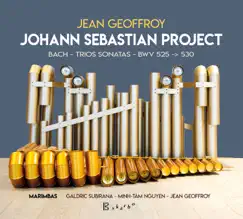 Johann Sebastian Project by Jean Geoffroy, Minh-Tâm Nguyen & Galdric Subirana album reviews, ratings, credits