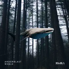 Whale - Single by Anderblast album reviews, ratings, credits