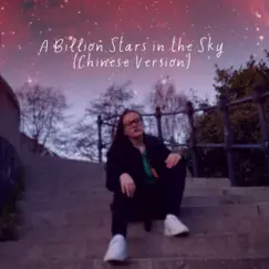 A Billion Stars in the Sky - Chinese Version Song Lyrics