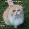 This Is My Cat, Squea, - EP album lyrics, reviews, download