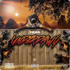 Underdawg Song Lyrics