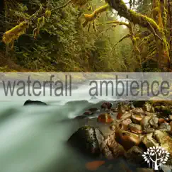 Waterfall Ambience - Single by Waterfall Sounds album reviews, ratings, credits