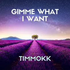 Gimme What I Want - Single by Timmokk album reviews, ratings, credits