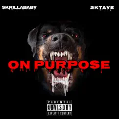 On Purpose (feat. 2KTaye) Song Lyrics