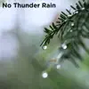 No Thunder Rain album lyrics, reviews, download