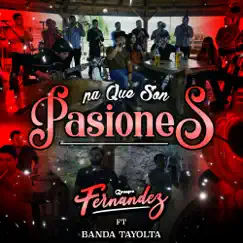 Pa Que Son Pasiones (feat. Banda Tayolta) - Single by Grupo Fernández album reviews, ratings, credits