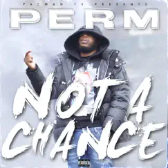 Not a Chance - Single by PERM & Pacman Tv album reviews, ratings, credits