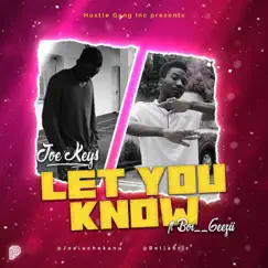 Let You Know (feat. Boy Geezii) - Single by JOEKEYZ & Boy Geezii album reviews, ratings, credits