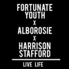Live Life (feat. Alborosie & Harrison Stafford) - Single album lyrics, reviews, download