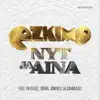 Nyt ja aina (feat. Paleface, Brädi, Joniveli & Skandaali) - Single album lyrics, reviews, download