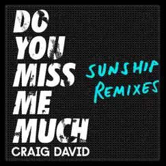 Do You Miss Me Much (Sunship Remixes) - Single by Craig David & Sunship album reviews, ratings, credits