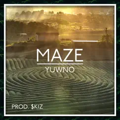 Maze - Single by Yuwno album reviews, ratings, credits