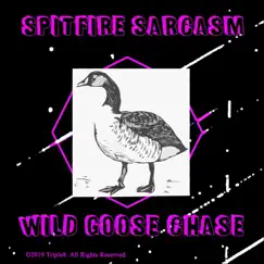 Wild Goose Chase - EP by Spitfire Sarcasm album reviews, ratings, credits