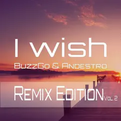 I Wish - Remix Edition, Vol. 2 - Single by BuzzGo & Andestro album reviews, ratings, credits