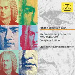 Brandenburg Concerto No. 1 in F Major, BWV 1046: II. Adagio Song Lyrics