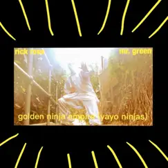 Golden Ninja Empire (Yayo Ninjas) (feat. Rick Ross) - Single by Mr. Green album reviews, ratings, credits