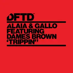 Trippin' (feat. Dames Brown) [P.o.L. Mix] Song Lyrics
