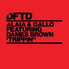 Trippin' (feat. Dames Brown) Song Lyrics