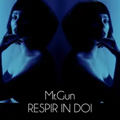 Respir In Doi - Single by Mr. Gun album reviews, ratings, credits