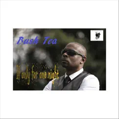 If Only for One Night - Single by Bush Tea album reviews, ratings, credits