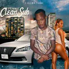 Clean Suh - Single by Peanut album reviews, ratings, credits
