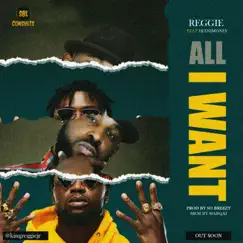 All I Want (feat. Dj Enimoney) Song Lyrics