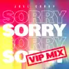 Sorry (VIP Mix) song lyrics