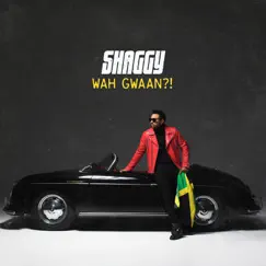Wah Gwaan?! by Shaggy album reviews, ratings, credits