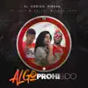 Algo Prohibido - Single album lyrics, reviews, download