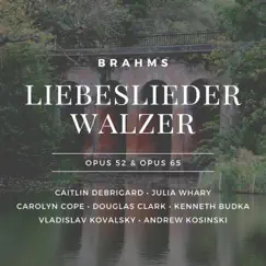 Neue Liebeslieder Walzer, Op. 65: I. Verzicht, o Herz, auf Rettung Song Lyrics