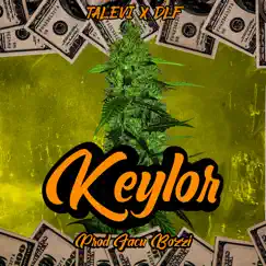 Keylor - Single by Talevi & DLF album reviews, ratings, credits