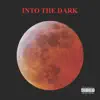 Into the Dark (feat. Copta) - Single album lyrics, reviews, download