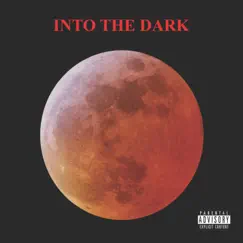 Into the Dark (feat. Copta) Song Lyrics
