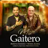 Mix Gaitero : La Moza / La Negra Juana / Negrito Fullero / Orinoco - Single album lyrics, reviews, download