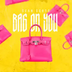 Bag on You - Single by Sean Scott album reviews, ratings, credits