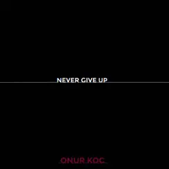 Never Give Up - Single by Onur Koç album reviews, ratings, credits