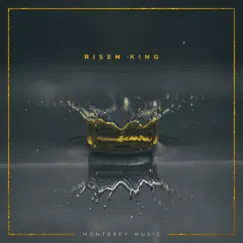 Risen King (Studio Version) - Single by Monterey Music & Jedidiah Horca album reviews, ratings, credits