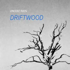 Driftwood - Single by Vincent Rayn album reviews, ratings, credits