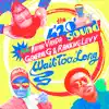 Wait Too Long (feat. Ranking Levy, General G & Natan Vanda) - Single album lyrics, reviews, download