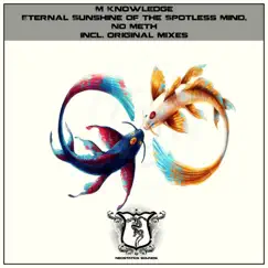 Eternal Sunshine of the Spotless Mind / No Meth - Single by M Knowledge album reviews, ratings, credits