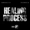 Healing Process album lyrics, reviews, download