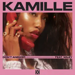 Don't Answer (feat. Wiley) Song Lyrics