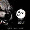 Hungry like the Wolf - Single album lyrics, reviews, download