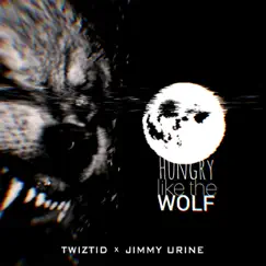 Hungry like the Wolf Song Lyrics