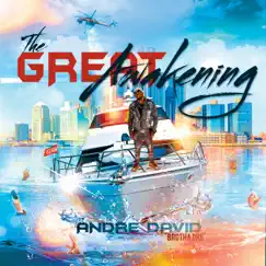 The Great Awakening - Single by Andre David album reviews, ratings, credits