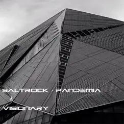 Pandemia - Single by Saltrock & Visionary album reviews, ratings, credits