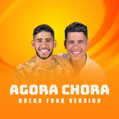 Agora Chora (Brega Funk Version) - Single by David e Daniel album reviews, ratings, credits