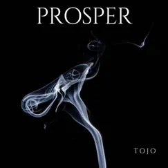 Prosper - Single by Tojo album reviews, ratings, credits