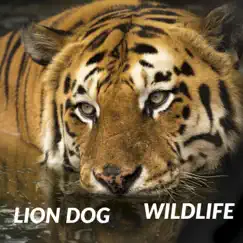 Wildlife - EP by Lion Dog album reviews, ratings, credits