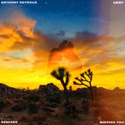 Missing You (feat. Abby) [Wbrblol Remix] Song Lyrics